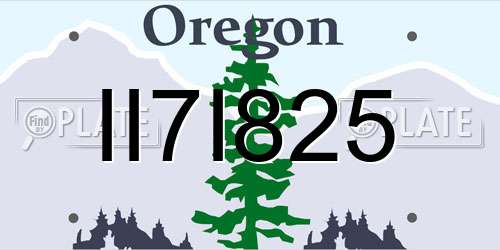 II7I825 Oregon License Plate