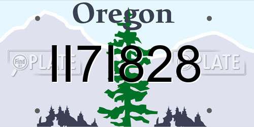 II7I828 Oregon License Plate