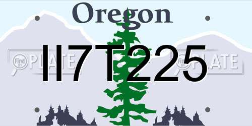 II7T225 Oregon License Plate
