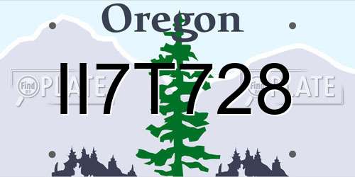 II7T728 Oregon License Plate