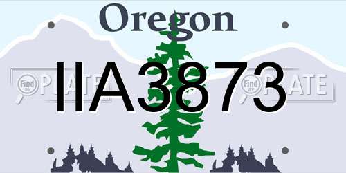 IIA3873 Oregon License Plate