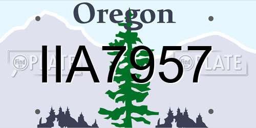 IIA7957 Oregon License Plate