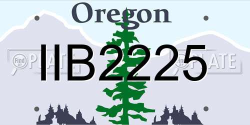IIB2225 Oregon License Plate