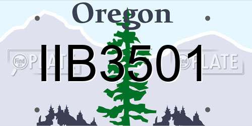 IIB3501 Oregon License Plate