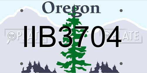 IIB3704 Oregon License Plate
