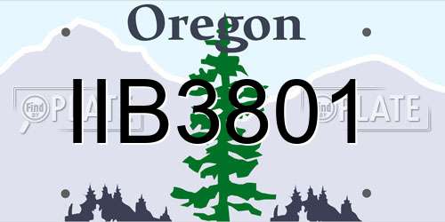 IIB3801 Oregon License Plate