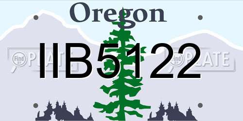 IIB5122 Oregon License Plate
