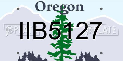 IIB5127 Oregon License Plate