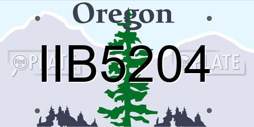 IIB5204 Oregon License Plate