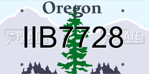 IIB7728 Oregon License Plate