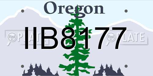 IIB8177 Oregon License Plate