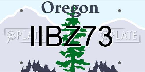 IIBZ73 Oregon License Plate