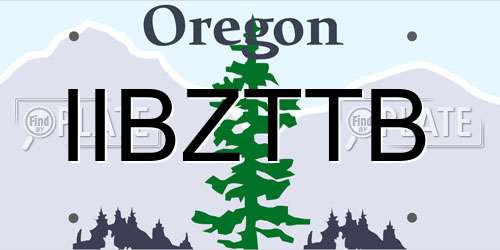 IIBZTTB Oregon License Plate