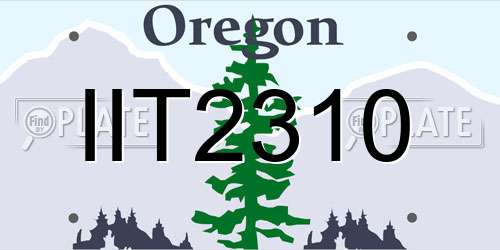 IIT2310 Oregon License Plate