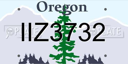 IIZ3732 Oregon License Plate