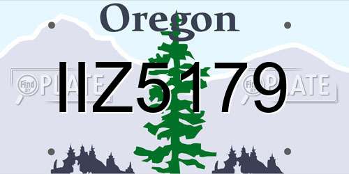 IIZ5179 Oregon License Plate