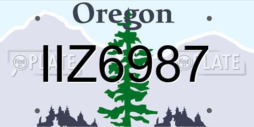 IIZ6987 Oregon License Plate