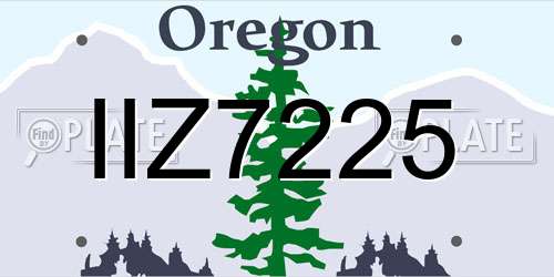 IIZ7225 Oregon License Plate