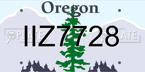 IIZ7728 Oregon License Plate