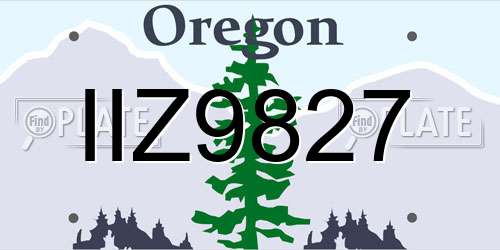 IIZ9827 Oregon License Plate