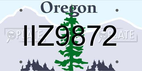 IIZ9872 Oregon License Plate