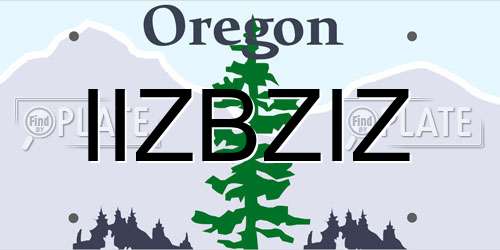 IIZBZIZ Oregon License Plate