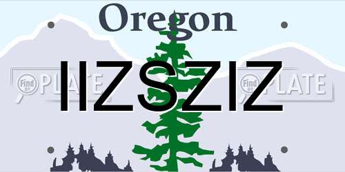 IIZSZIZ Oregon License Plate