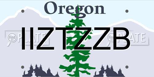 IIZTZZB Oregon License Plate