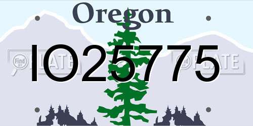 IO25775 Oregon License Plate