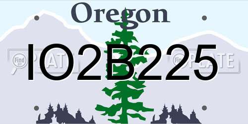 IO2B225 Oregon License Plate