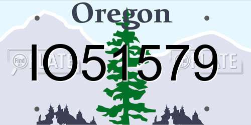 IO51579 Oregon License Plate