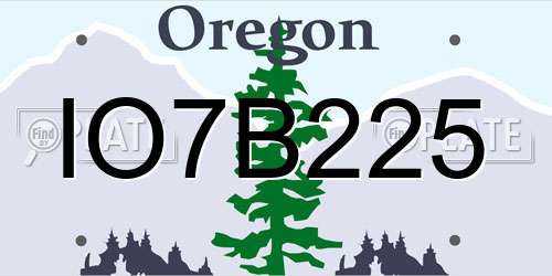 IO7B225 Oregon License Plate