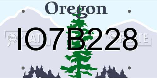 IO7B228 Oregon License Plate