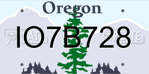 IO7B728 Oregon License Plate