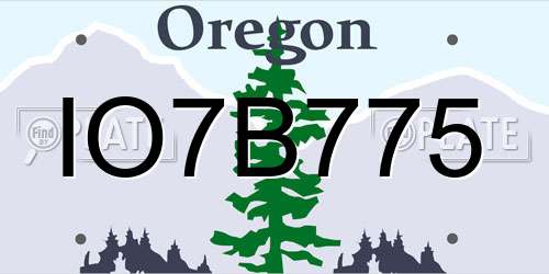 IO7B775 Oregon License Plate