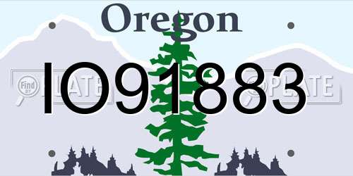 IO91883 Oregon License Plate