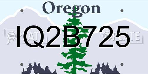 IQ2B725 Oregon License Plate