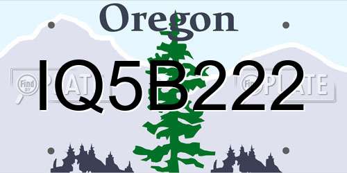 IQ5B222 Oregon License Plate