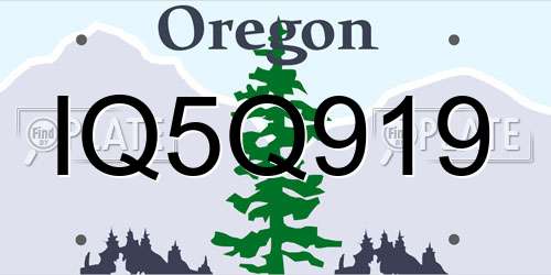 IQ5Q919 Oregon License Plate