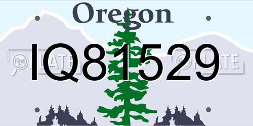 IQ81529 Oregon License Plate