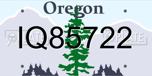 IQ85722 Oregon License Plate