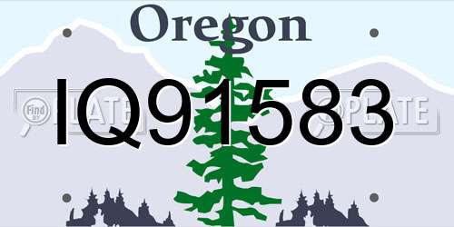 IQ91583 Oregon License Plate