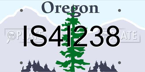 IS4I238 Oregon License Plate