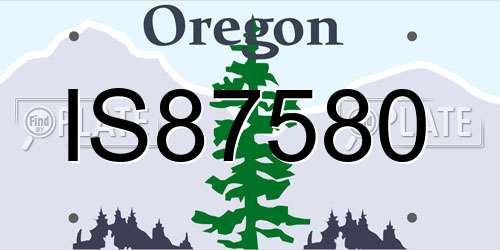 IS87580 Oregon License Plate