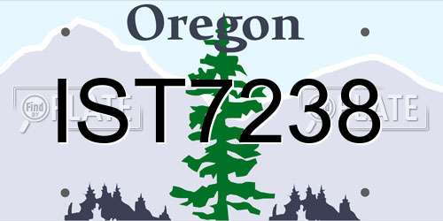 IST7238 Oregon License Plate