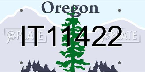 IT11422 Oregon License Plate