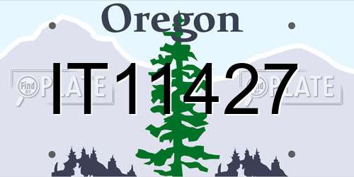 IT11427 Oregon License Plate