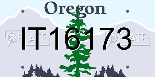 IT16173 Oregon License Plate
