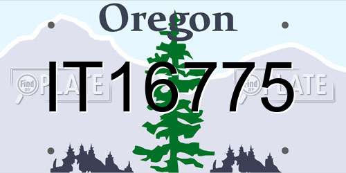 IT16775 Oregon License Plate