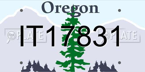 IT17831 Oregon License Plate